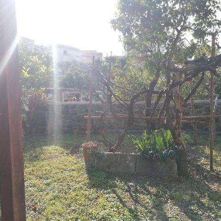 Dimora Coloniale B&B Forio di Ischia Exteriör bild