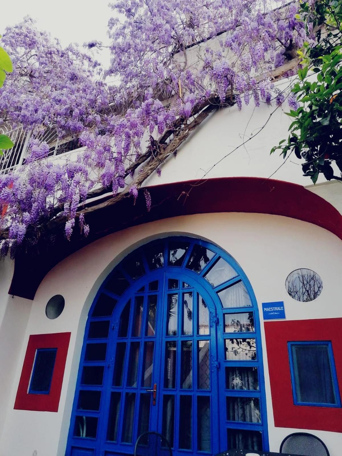 Dimora Coloniale B&B Forio di Ischia Exteriör bild